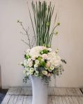 優雅之美Pretty Elegance